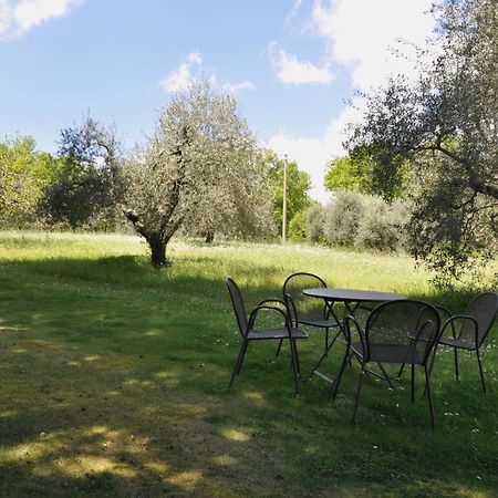 Agriturismo Testalepre Greve in Chianti Exterior foto